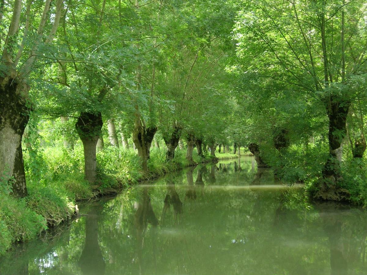 Bed and Breakfast La Gauviniere Liez Zewnętrze zdjęcie